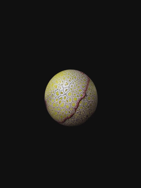 Caviar Pearl #65