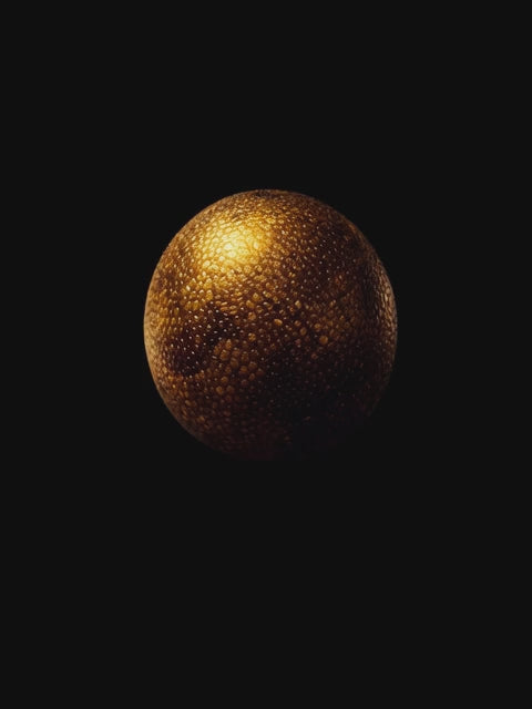 Caviar Pearl #92